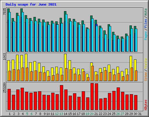 Daily usage for June 2021