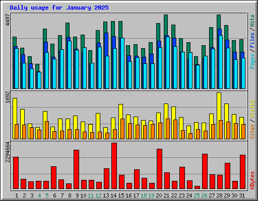 Daily usage for January 2025