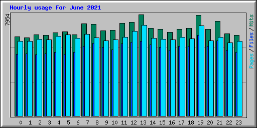 Hourly usage for June 2021