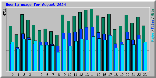 Hourly usage for August 2024