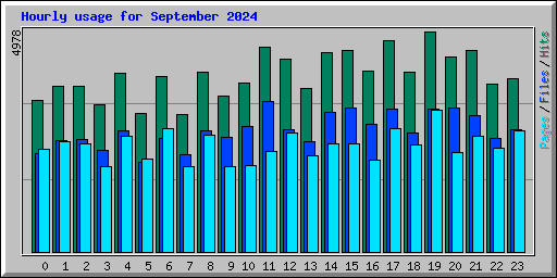 Hourly usage for September 2024