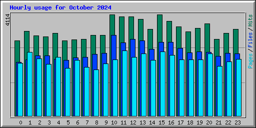 Hourly usage for October 2024