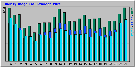 Hourly usage for November 2024