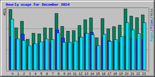 Hourly usage for December 2024