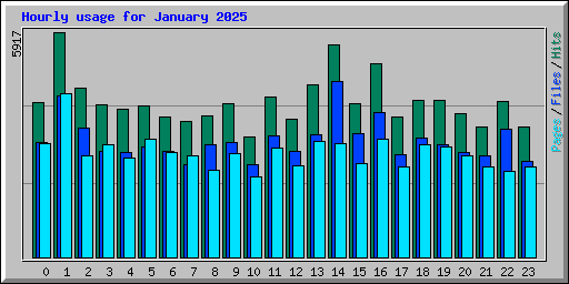 Hourly usage for January 2025