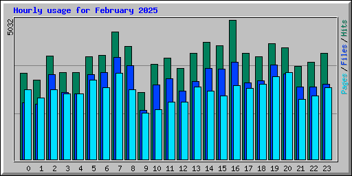 Hourly usage for February 2025