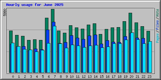 Hourly usage for June 2025